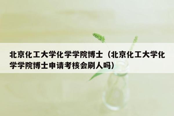 北京化工大学化学学院博士（北京化工大学化学学院博士申请考核会刷人吗）