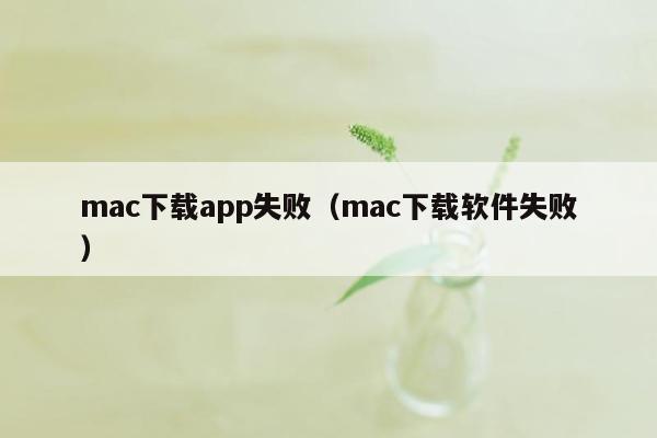 mac下载app失败（mac下载软件失败）