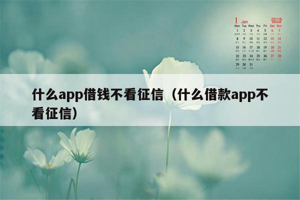 什么app借钱不看征信（什么借款app不看征信）