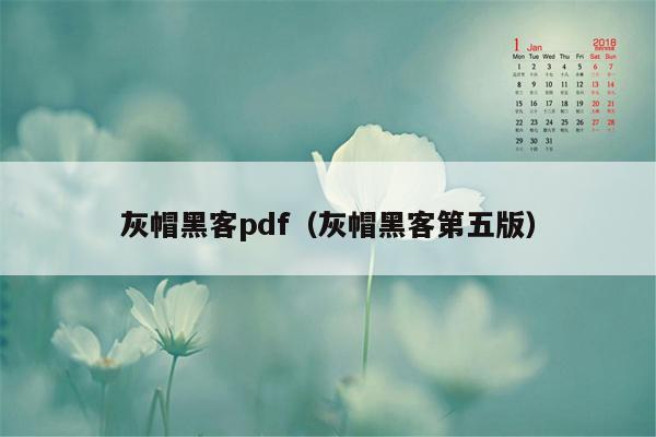 灰帽黑客pdf（灰帽黑客第五版）