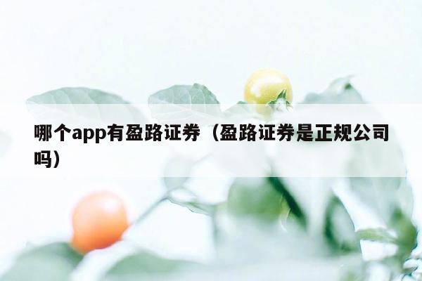 哪个app有盈路证券（盈路证券是正规公司吗）