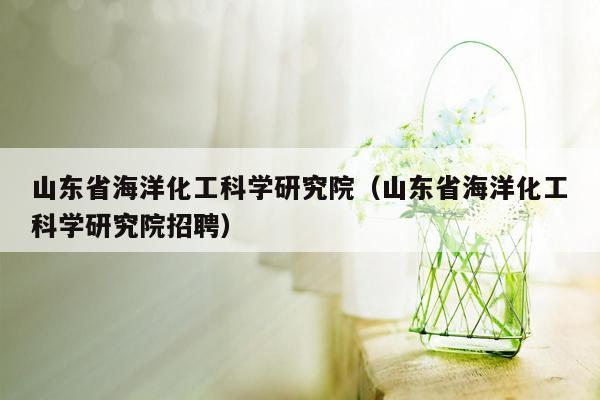 山东省海洋化工科学研究院（山东省海洋化工科学研究院招聘）