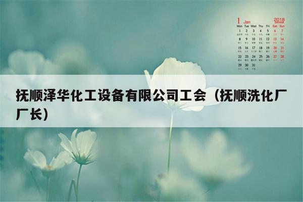 抚顺泽华化工设备有限公司工会（抚顺洗化厂厂长）