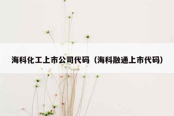 海科化工上市公司代码（海科融通上市代码）