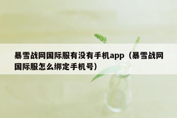 暴雪战网国际服有没有手机app（暴雪战网国际服怎么绑定手机号）