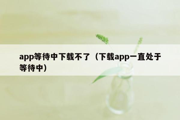 app等待中下载不了（下载app一直处于等待中）