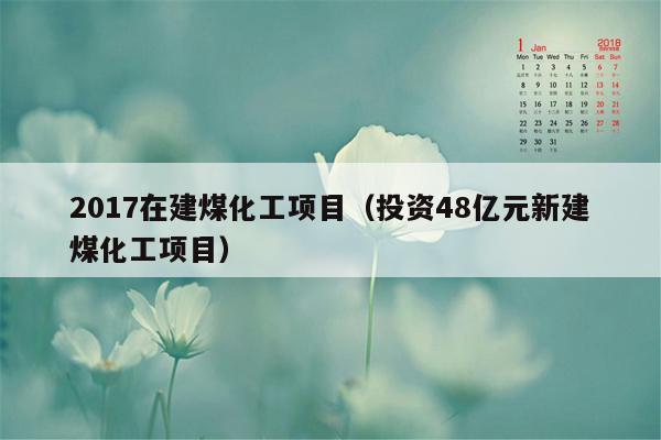 2017在建煤化工项目（投资48亿元新建煤化工项目）