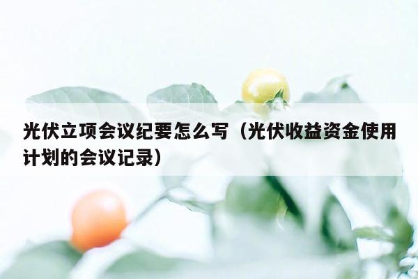 光伏立项会议纪要怎么写（光伏收益资金使用计划的会议记录）