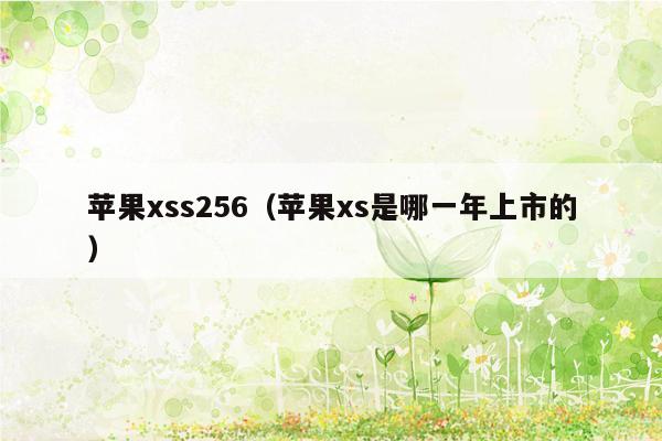 苹果xss256（苹果xs是哪一年上市的）