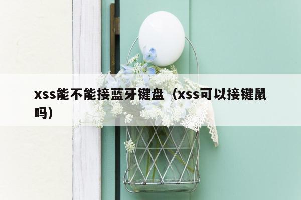 xss能不能接蓝牙键盘（xss可以接键鼠吗）