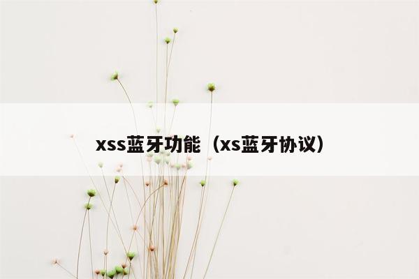 xss蓝牙功能（xs蓝牙协议）