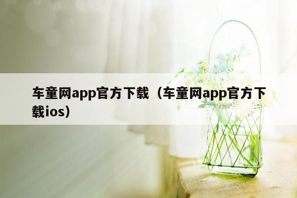 车童网app官方下载（车童网app官方下载ios）