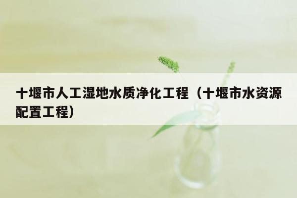 十堰市人工湿地水质净化工程（十堰市水资源配置工程）