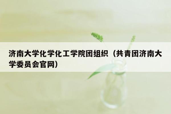 济南大学化学化工学院团组织（共青团济南大学委员会官网）