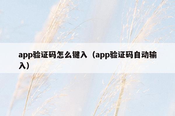 app验证码怎么键入（app验证码自动输入）