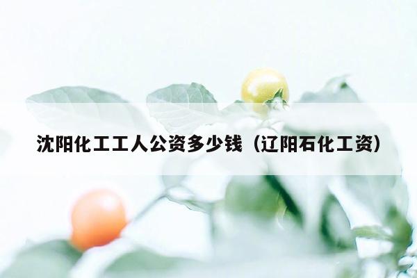 沈阳化工工人公资多少钱（辽阳石化工资）