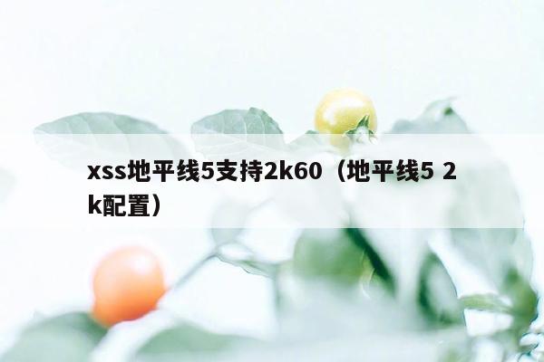 xss地平线5支持2k60（地平线5 2k配置）