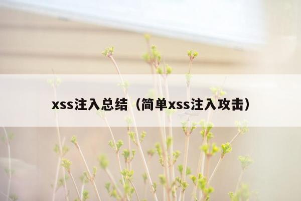 xss注入总结（简单xss注入攻击）