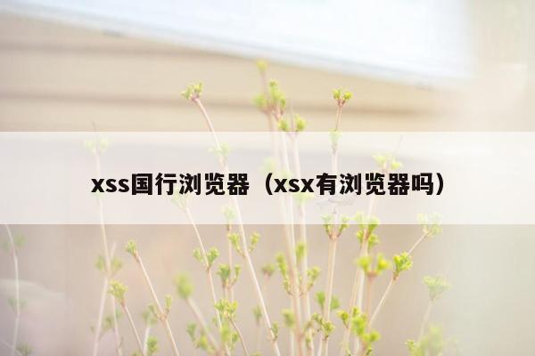 xss国行浏览器（xsx有浏览器吗）