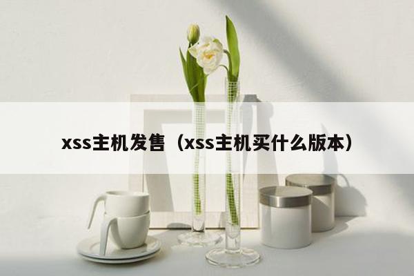 xss主机发售（xss主机买什么版本）