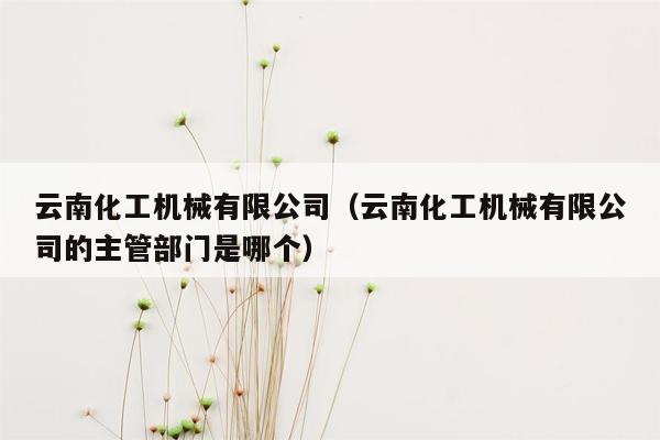 云南化工机械有限公司（云南化工机械有限公司的主管部门是哪个）