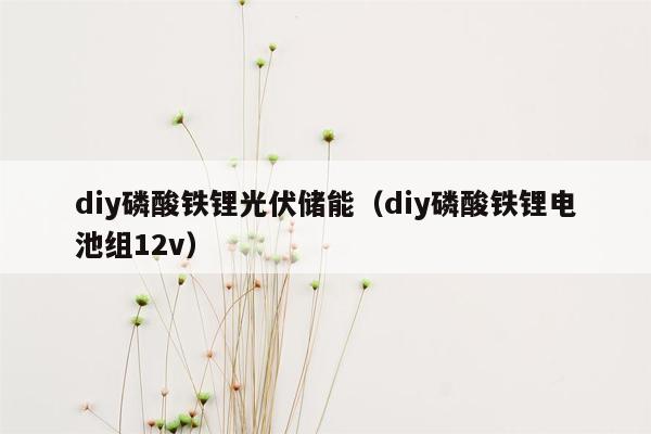 diy磷酸铁锂光伏储能（diy磷酸铁锂电池组12v）