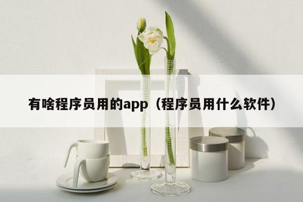 有啥程序员用的app（程序员用什么软件）