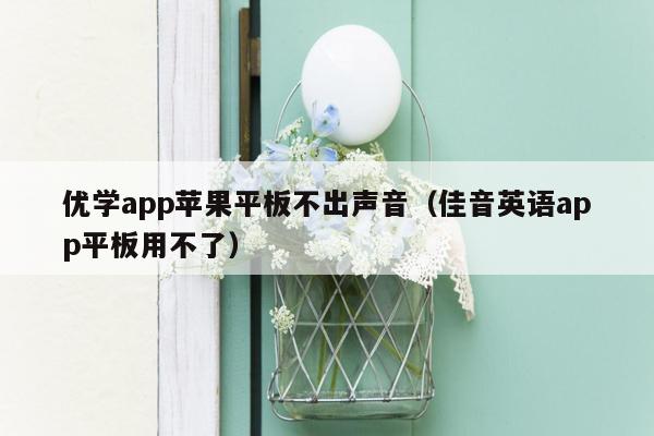 优学app苹果平板不出声音（佳音英语app平板用不了）