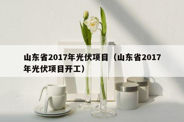 山东省2017年光伏项目（山东省2017年光伏项目开工）