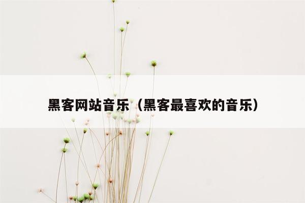 黑客网站音乐（黑客最喜欢的音乐）