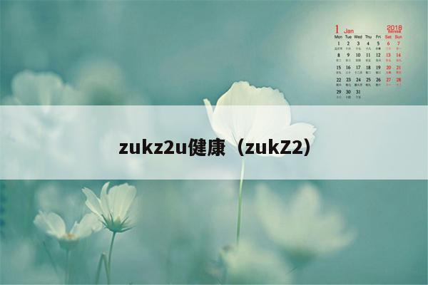 zukz2u健康（zukZ2）