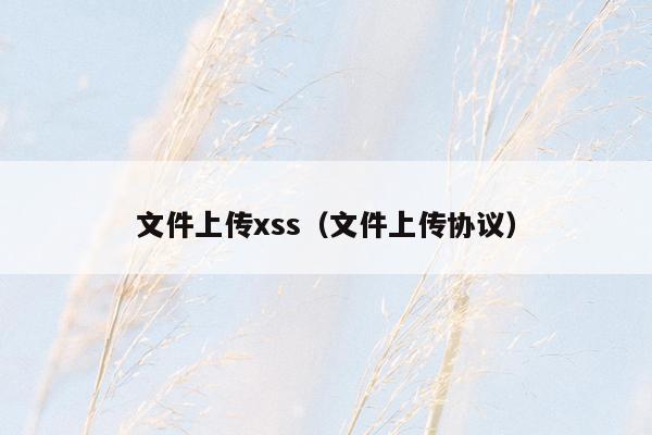 文件上传xss（文件上传协议）