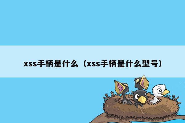 xss手柄是什么（xss手柄是什么型号）