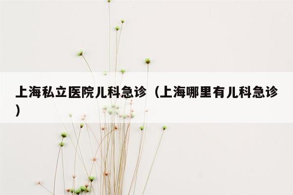 上海私立医院儿科急诊（上海哪里有儿科急诊）