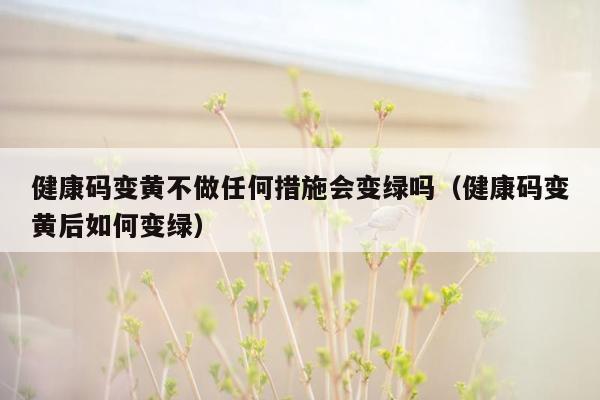 健康码变黄不做任何措施会变绿吗（健康码变黄后如何变绿）