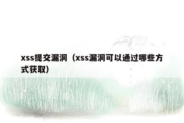 xss提交漏洞（xss漏洞可以通过哪些方式获取）