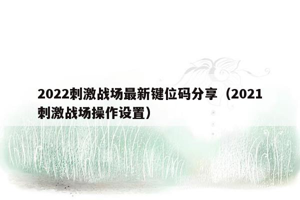 2022刺激战场最新键位码分享（2021刺激战场操作设置）