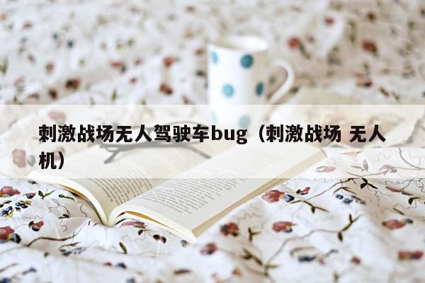 刺激战场无人驾驶车bug（刺激战场 无人机）