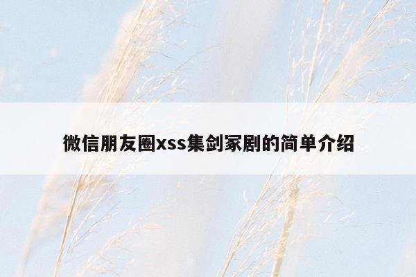 微信朋友圈xss集剑冢剧的简单介绍