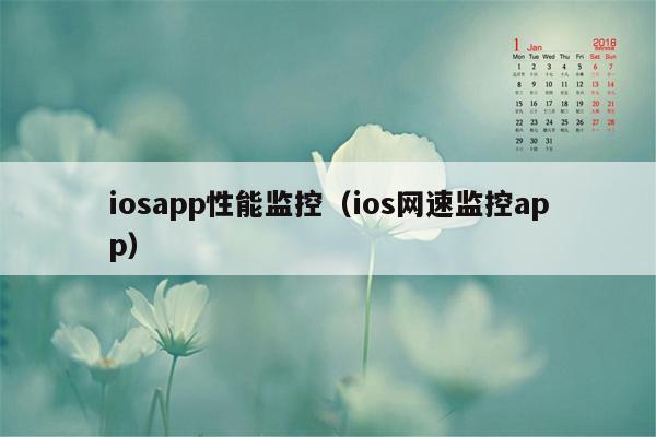 iosapp性能监控（ios网速监控app）