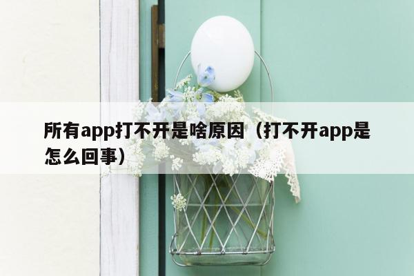 所有app打不开是啥原因（打不开app是怎么回事）