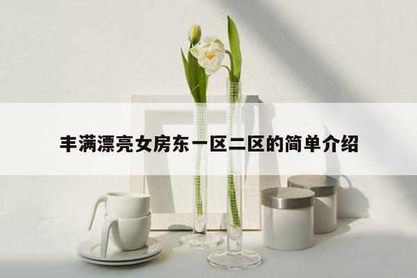 丰满漂亮女房东一区二区的简单介绍