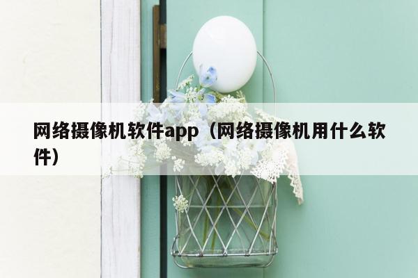 网络摄像机软件app（网络摄像机用什么软件）