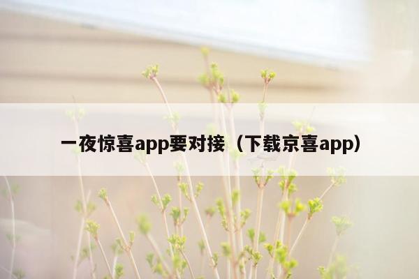 一夜惊喜app要对接（下载京喜app）