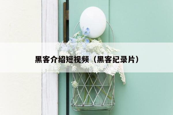 黑客介绍短视频（黑客纪录片）