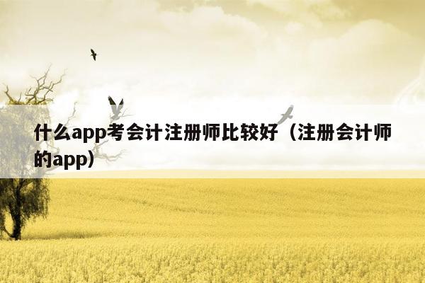 什么app考会计注册师比较好（注册会计师的app）