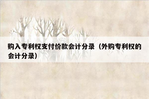 购入专利权支付价款会计分录（外购专利权的会计分录）