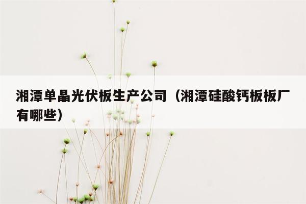 湘潭单晶光伏板生产公司（湘潭硅酸钙板板厂有哪些）