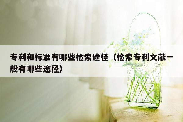 专利和标准有哪些检索途径（检索专利文献一般有哪些途径）