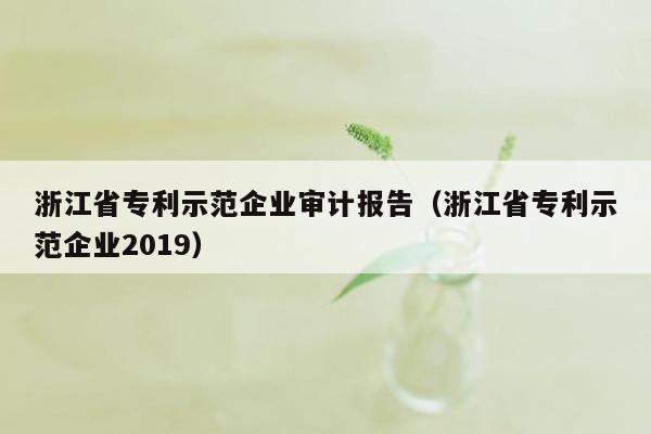 浙江省专利示范企业审计报告（浙江省专利示范企业2019）